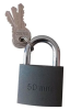 70-0-985  Замок навесной чугун, полимерное покрытие, 3 ключа, цил.мех-м, автомат, 50х54х15мм,дужка 6мм, (шт.), шт
